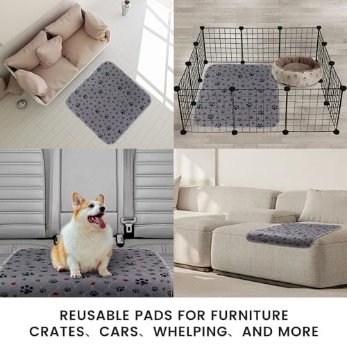 Image of Washable Pee Pads for Dogs,2 Pack Extra Large 54 inchx54 inch Super Absorbent Reusable Puppy Pads,Non-Slip 100% Waterproof Dog Pee Pads,Pet Training Pads for Couch, Crate,Potty Training,Floor