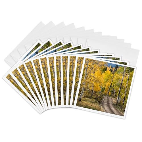 Cartes de vœux vaporeuses pour écrire sans bavure : lot 12 exemplaires paysage d'automne