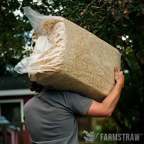 HealthiStraw FarmStraw Coarse Cut, 3 cu ft - All-Natural Wheat Straw Animal Bedding for Homesteads, Hobby Farms, and Small Pets - Absorbent, Fluffy and Insulative - Sustainably Sourced - Thumbnail 5