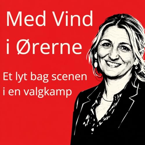 Med Vind i &Oslash;rerne cover art