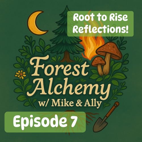 Root to Rise Reflections 🌲 Episode 7 from the Forest Edge