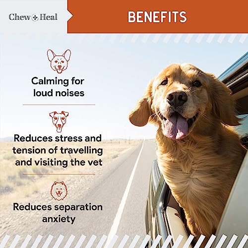 Calming Chews for Dogs - 30 Anxiety Relief Treats for Fireworks, Thunder, and Storms - Natural Dog Calming Treats for Large and Small Breeds with Thiamine, L-Tryptophan, Ginger, and Melatonin