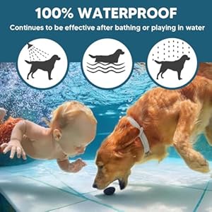 Dog Flea Tick Collar Flea  Tick Prevention for Dogs 8 Months Protection Dog Flea Collar Adjustable Collar Fits Large Dogs  Puppies Flea Treatment Collar for Dogs 2 Pack  Cucciolini Doodles Dog flea tick collar flea  tick prevention for dogs 8 months protection dog flea collar adjustable collar fits large dogs  puppies flea treatment collar for dogs 2 pack   cucciolini doodles