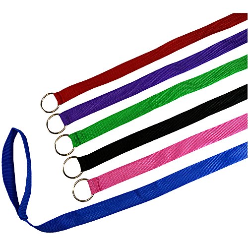 Downtown Pet Supply - 6ft Dog Kennel Slip Lead - Veterinarian, Grooming, Daycare & Rescue Supplies...