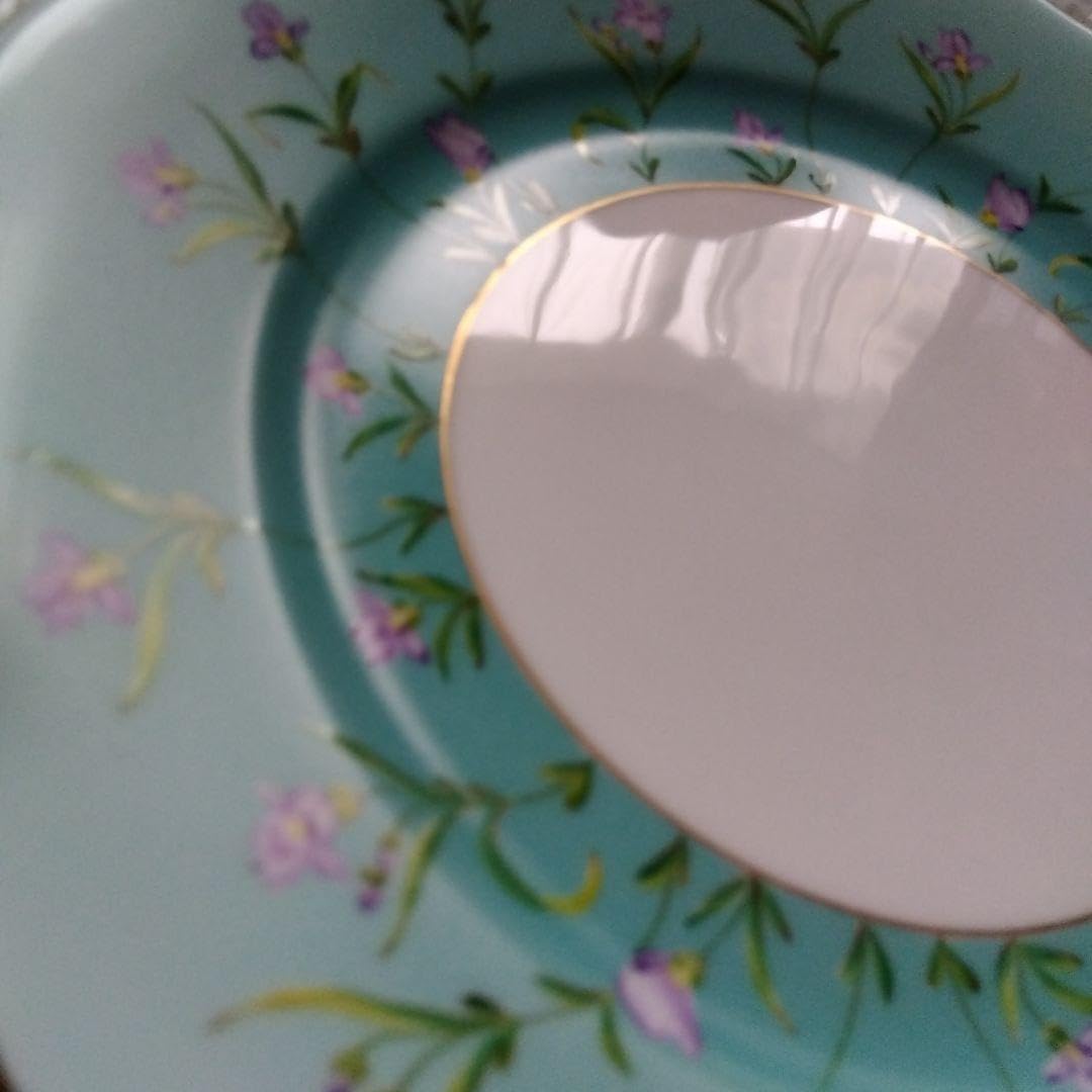 ヘレンド アイリスターコイズ 21cmプレート未使用品 ヘレンド アイリス