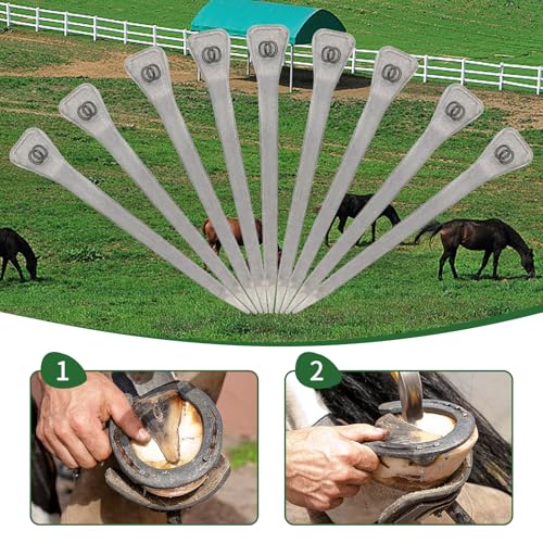 Image of 250pcs Horseshoe Nails E6 Stainless Steel,2.1 Inches Easy Carry Hoof Horseshoe Tools,Securing Firmly Tool Accessory for Horse Training Equestrian Sports (E6)