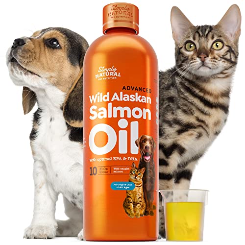 The 9 Best Salmon Oil for Dogs in 2023 Top Rated