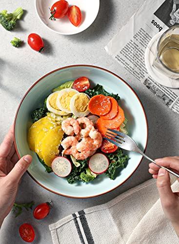 Sweese 128.003 Porcelain Salad Pasta Bowls - 30 Ounce - Set Of 6, Cool Assorted Colors #TOP2