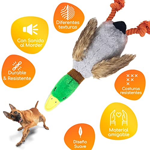 Juguetes Para Perro, Pet Products Imagen adicional