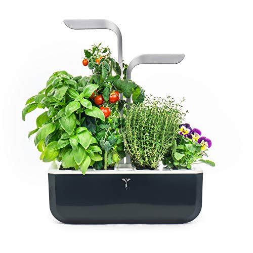 Véritable® Smart (Soft Black...