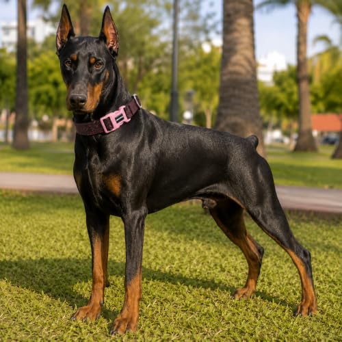 Image of Wooflix Premium Adjustable Dog Collar for Small, Medium & Large Breed Dogs | Heavy Duty Nylon Dog Neck Belt with Strong Buckle & D-Ring for Walking, Training & Daily Use (Pink, Extra Large)