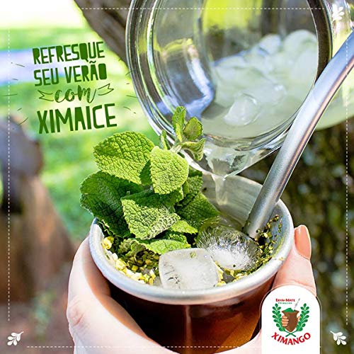 Erva-Mate Para Tererê Abacaxi E Menta 250g Ximango Ximaice