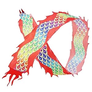 Lint Oogverblindend Fitness Drakendanslint, Strandpark Gazons Fitness Drakendans, 6m/8m/10m/12m Lintwerpstreamer voor…