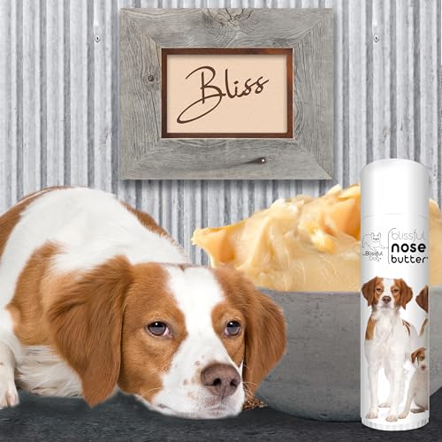 Image of The Blissful Dog Brittany Spaniel Nose Butter for Dry, Cracked Skin, Lick-Safe Dog Nose Balm with Moisturizing Shea Butter, Almond, Olive, and Essential Oils, Pet Supplies, Uncented, 0.50 oz.