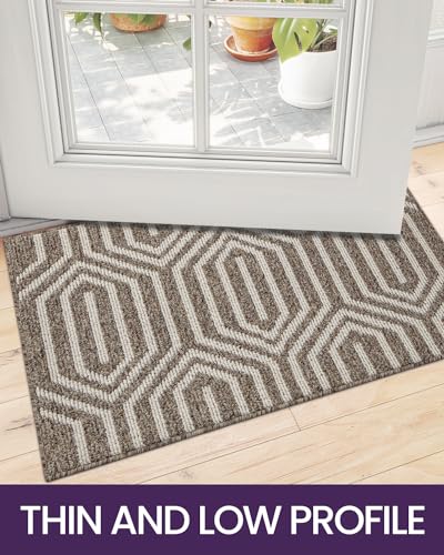 DEXI Front Door Mats for Entryway, Non Slip Washable Low-Profile Entry Doormat, Absorbent Resist Dirt Inside Floor Entrance Mat, Patio, 24x36, Brown