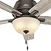 Hunter Donegan Indoor Low Profile Ceiling Fan with LED Light and Pull Chain Control, 52