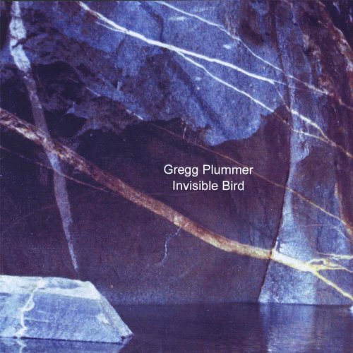 Amazon.com: Invisible Bird : Gregg Plummer: Digital Music