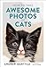 How to Take Awesome Photos of Cats