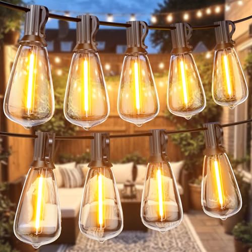 Festoon Lights Outdoor 100FT/30M, Warm White ST38 Garden Lights, ...