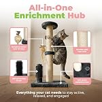 Best Pet Supplies Catify Cat Scratcher, Fun Interactive Scratchers, Posts, Poles, Claw Safe, Furniture Saver Indoor Play Support Natural Cat Behaviors Heavy Duty - Gray Scratching Post - H: 25" - Image 3