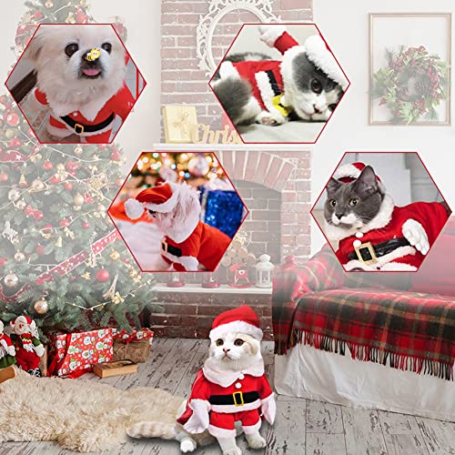 Vestiti natalizi per gatti,vestiti natalizi per