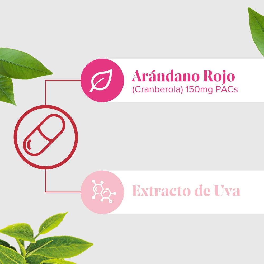 Arkopharma - Cis-Control Cranberola, 120 Cápsulas, con Arándano Rojo Americano y Extracto de Uva, Bienestar del Tracto Urinario, Protección Antioxidante, Fórmula 100% de Origen Vegetal