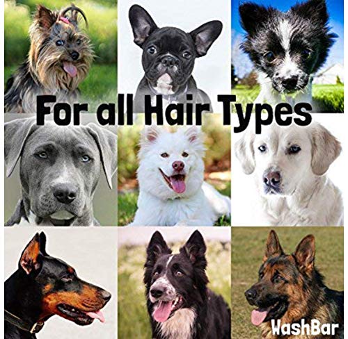 WashBar Natural Dog Soap Bar - Natural Dog Shampoo Bar and Dog Shampoo for Smelly Dogs with Sensitive Skin, Easier to… - Image 5
