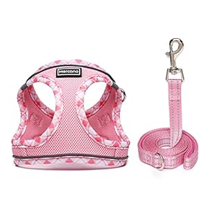 Soft-Mesh-Dog-Harness-and-Leash-Set-No-Chock-Step-in-Reflective-Breathable-Lightweight-Easy-Walk-Escape-Proof-Vest-Harnesses-with-Safety-Buckle-for-Small-Medium-Dogs-Cats-Pink-S - Cucciolini Doodles Soft-Mesh-Dog-Harness-and-Leash-Set-No-Chock-Step-in-Reflective-Breathable-Lightweight-Easy-Walk-Escape-Proof-Vest-Harnesses-with-Safety-Buckle-for-Small-Medium-Dogs-Cats-Pink-S