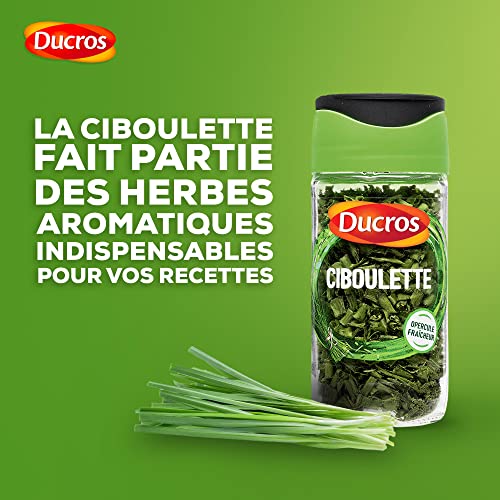 Ciboulette Ducros Le Flacon De 4 G - vue 9