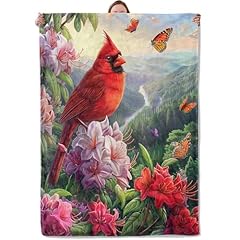 Cardinal and Butterfly