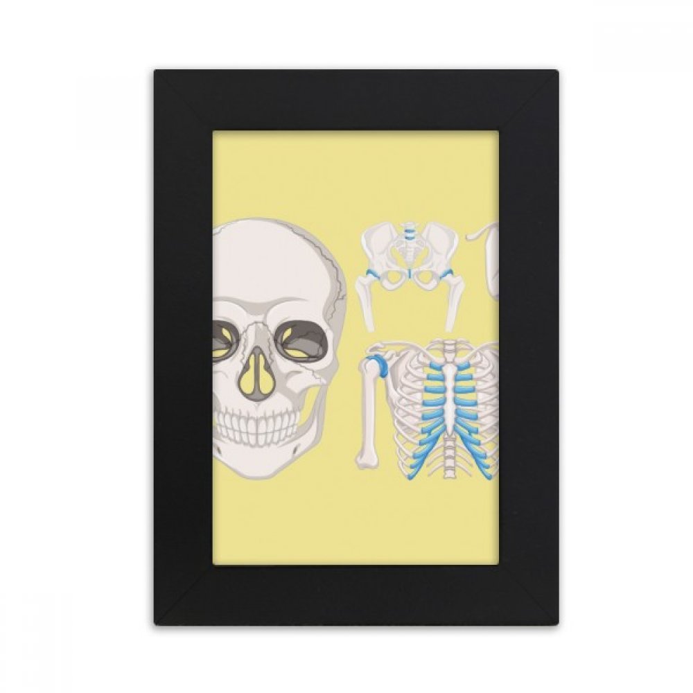 Cadre photo squelette 4x6 pouces pour une décoration de bureau gothique et originale