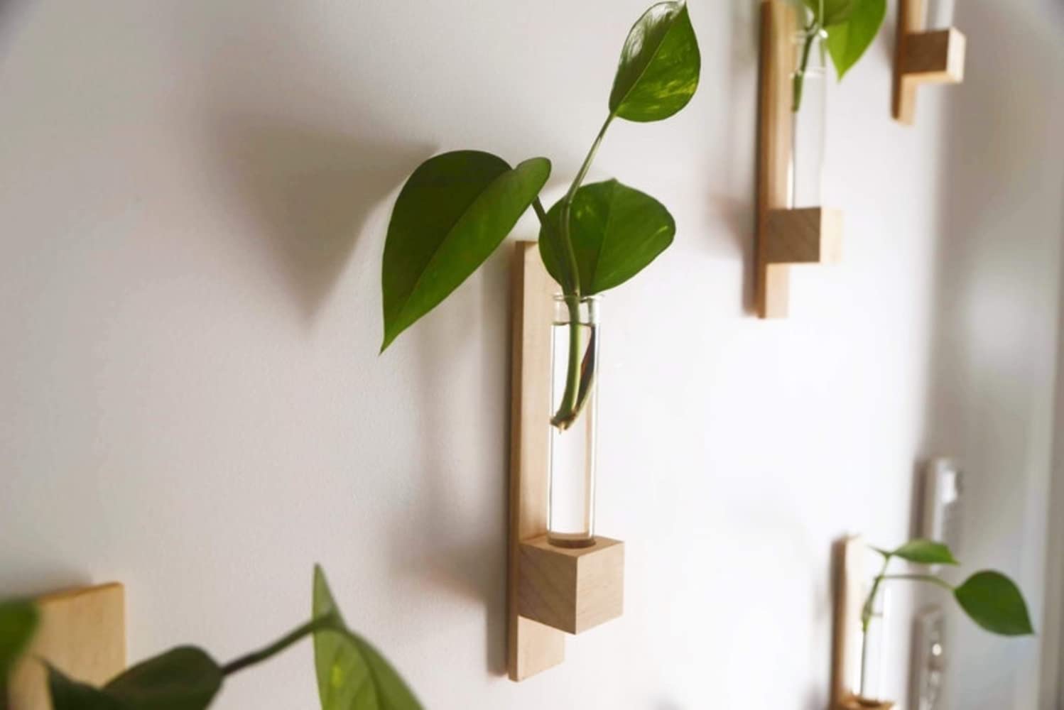 PALAASHE Test Tube Planter | Indonesian Pine Wood | Stick to Wall | Planters for Home Decor | Planters for Living Room | Decorative Plans| Wood and Glass Planter (8) (B0BCH61ZWV) Amazon Price History, Amazon Price Tracker