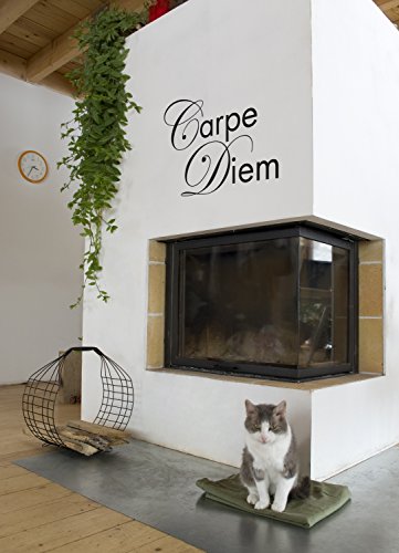 sticker mural Carpe Diem - avec emballage - idéal cadeau Cover