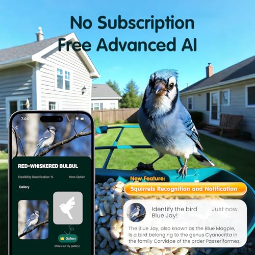 Bird Feeder with Camera, 4K Ultra HD Video with 30fps Live View, 10x Slow Motion, No Subscription, Solar Powered AI Smart Bird Feeder with Camera, 2.4G/5G Wi-Fi, Durable Metal,Bird Lover Gift - Image 4