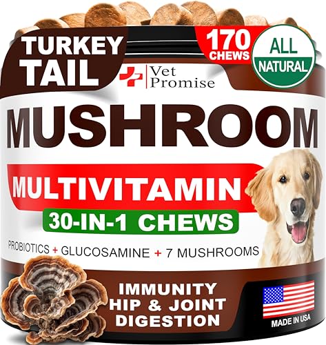 Turkey Tail Mushroom for Dogs - 170 Chews - Mushroom Supplement for Dogs - Lions Mane - Reishi - Immunity Support Multivitamin Vitamins - Joint Health - Energy - Gut - Skin - Made in USA