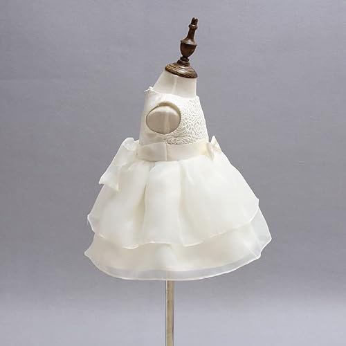 Babycheer Christening Dress Baby Girls Ruffle Lace Skirt Baptism Dedication Blessing Gown Flower Girl Sleeveless Dresses (15-20 Months) #TOP6