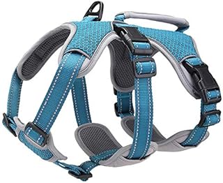 BELPRO Multi-Use Support Dog Harness, Escape Proof No Pull Reflective Adjustable Vest with Durable Handle, Dog Walking Harness for Big/Active Dogs (Blue, M)