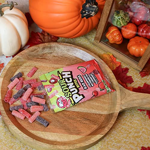 Sour Punch Bites, Ragin' Reds Watermelon, Strawberry, Cherry & Raspberry Chewy Candy, 5oz Bag (Pack of 12) - image 9