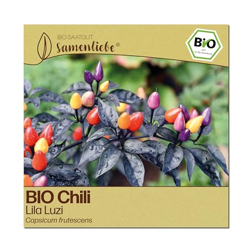 Samenliebe BIO Chili Samen | Lila Luzi - mini & scharf - samenfestes BIO Saatgut