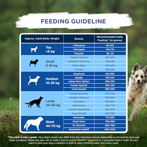 Image of Chappi Adult (1+ Years) Dry Dog Food, Chicken & Rice, 7 kg, Complete and Balanced Food for Adult Dogs (Pack of 2)