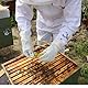 Best Bee Imkeroverall aus dickem Stoff und hochwertiger Baumwolle, robuster Reißverschluss, abnehmbare Kapuze, Werkzeugtaschen – Bienenzucht-Outfit gegen Wespen & Bienen SG (L)
