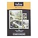 DaySring - God's Blessings on Your Birthday - Thomas Kinkade Painter of Light - 4 Design Assortment With Sciprutre - 12 Birthday Boxed Cards & Envelopes (86068)