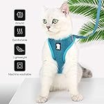 Heywean Cat Harness and Leash - Ultra Light Escape Proof Kitten Collar Cat Walking Jacket with Running Cushioning Soft and Comfortable Suitable for Puppies Rabbits (M, Turquoise) - Image 2