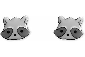 Raccoon Earrings, Trash Panda, Titanium Earrings
