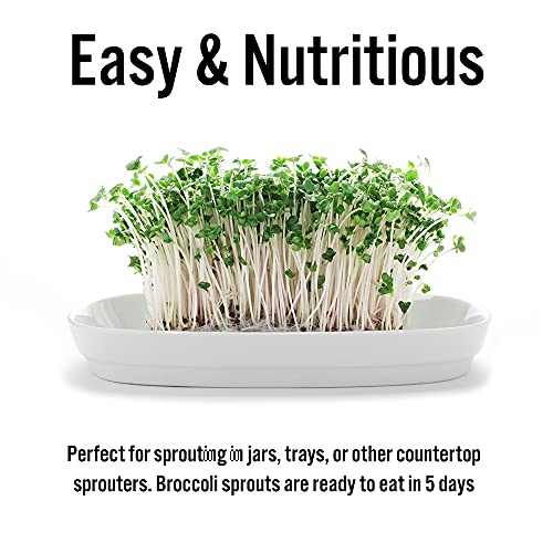 1 Lb Broccoli Sprouting Seeds - Perfect For Sprouting & Microgreens, Rich In Sulforaphane, Usa Grown (Resealable Bag) #TOP5