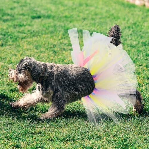 Süßes Tutu-Kleid für Hunde – Stylische Ostermode für Welpen & kleine Hunde