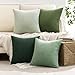 MIULEE Boho Farmhouse Sage Green Throw Pillow Covers 18x18 Inch Set of 4 Mordern Nordic Cushion Covers Soft Corduroy Spring Home Decor for Couch Bed Sofa Living Room Forest Green