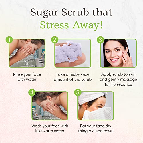 Levity & Co. Sweetface Facial Sugar Scrub. Anti Aging, Deep Cleaning Acne Treatment, Exfoliating Facial Scrub Regenerates & Brightens Face, Neck & Décolleté (Blackberry Merlot) #TOP5