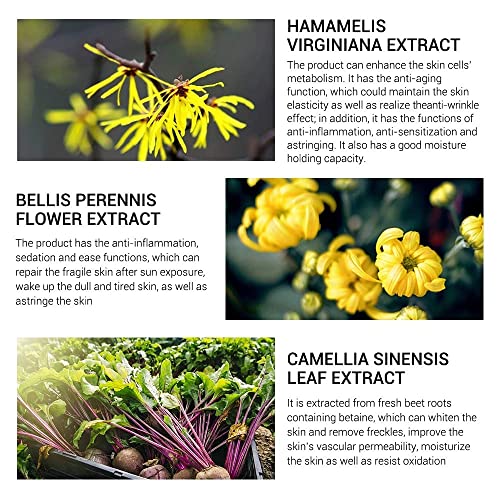 Lanbena Pore Skin Care Serum Facial Essence For Shrinking Pores + Relieving Dryness + Oil Control Firming + Moisturizing（New Packing） #TOP5