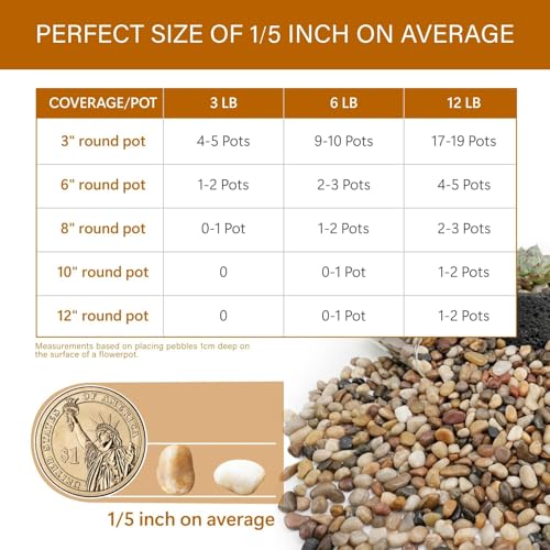NUPICK 3lb River Rocks for Plants Indoor, 1/5 Inch Mixed Pebbles for Vase Fillers, Decorative Pea Gravel for Fish Tank, Natural Polished Stones for Succulent, Bonsai, Landscaping, Bird Baths - Thumbnail 7